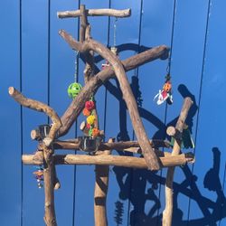 Dual Level Macaw Perch Tree … Thick And Curvy , Lots Of Macaw Fun … 👍🏼