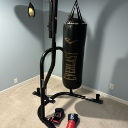 Everlast Dual Station Stand with 80lb Heavy Bag, Speed Bag and Boxing Gloves