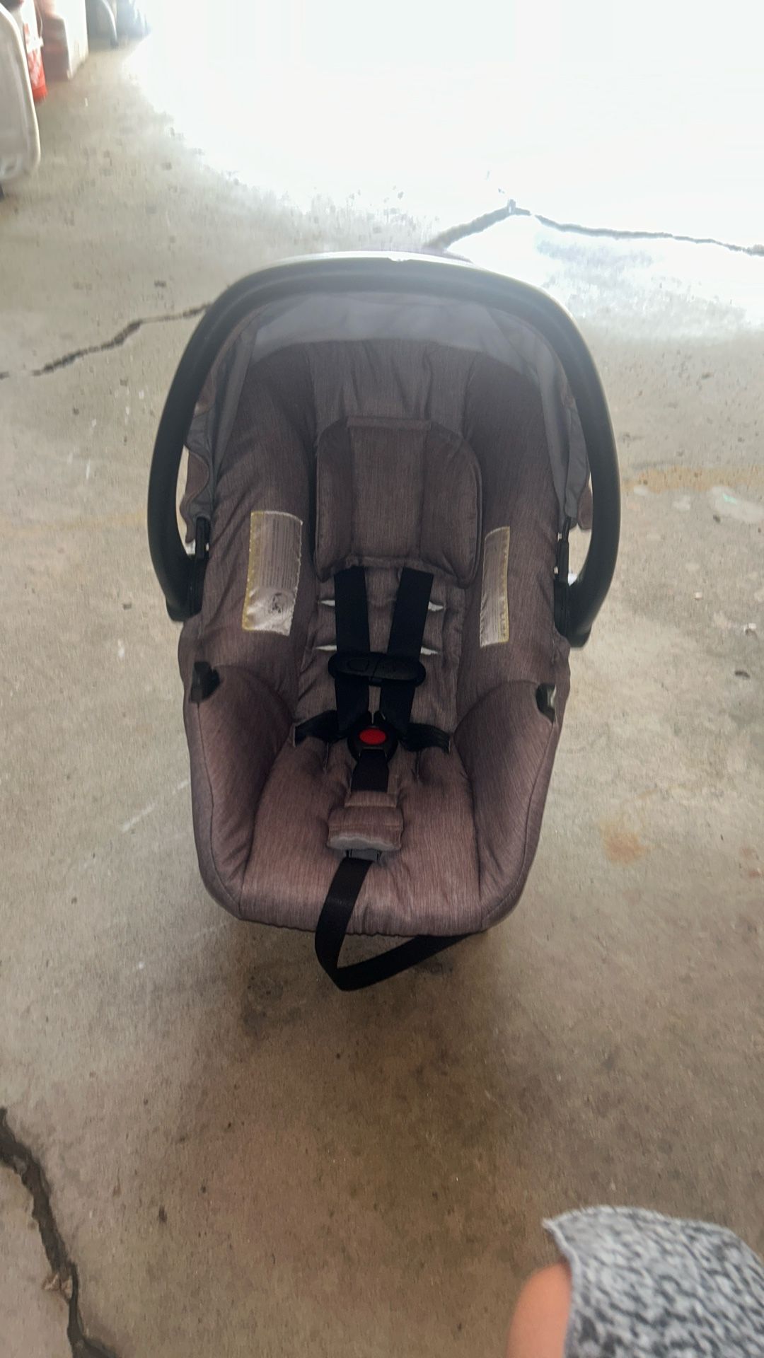 Baby Carsit