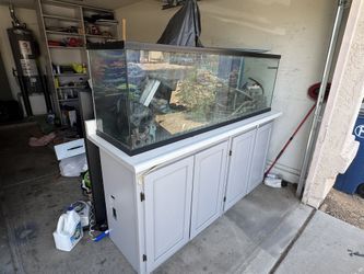 135 Gal Fish Tank