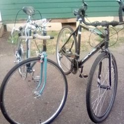 Two Nice  Bikes AGMC And A Vintage Raleigh Ace-Record 10 Speed Like New