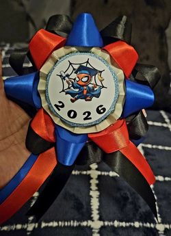 Spiderman Money Pins