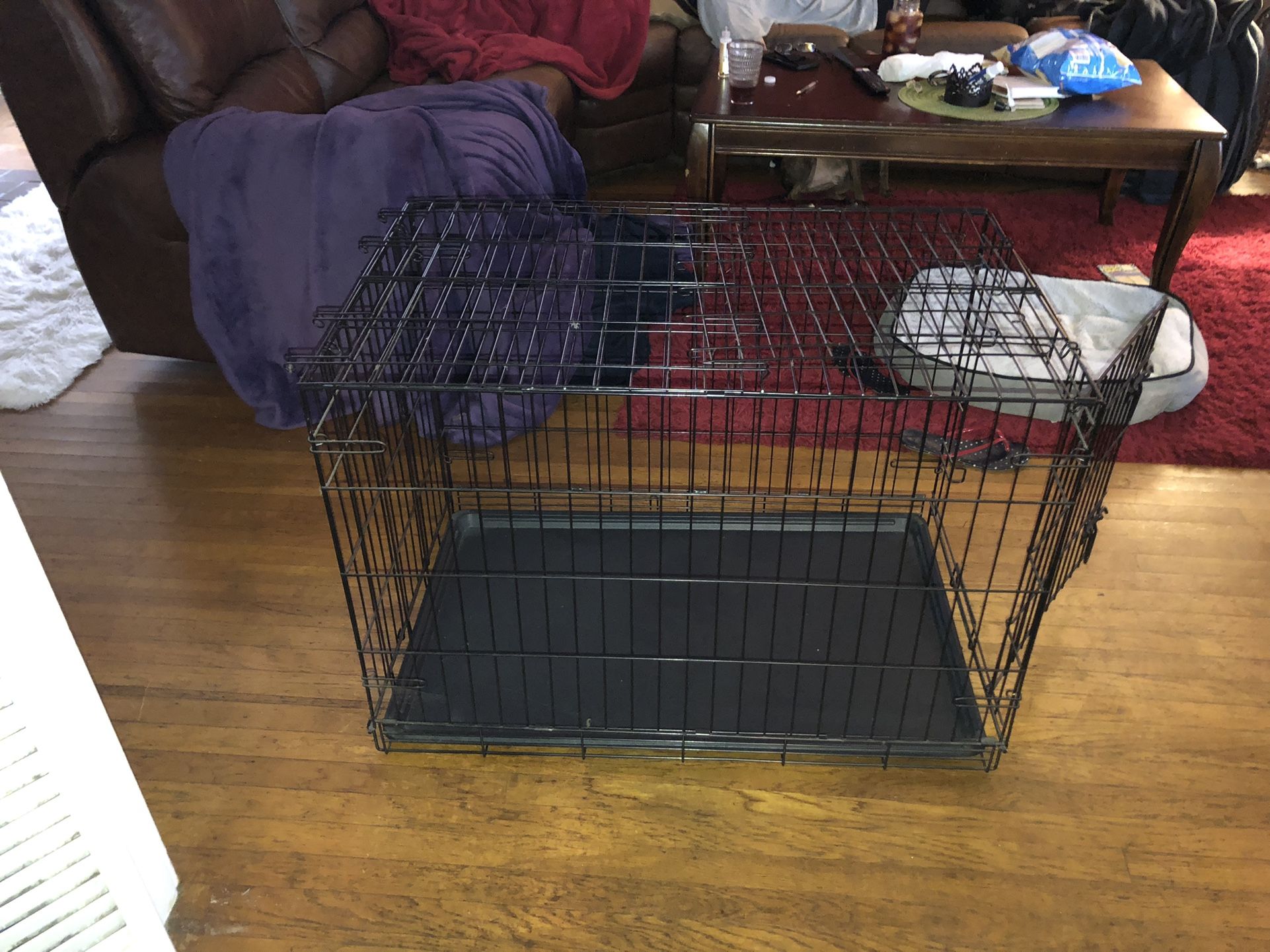 large dog cage