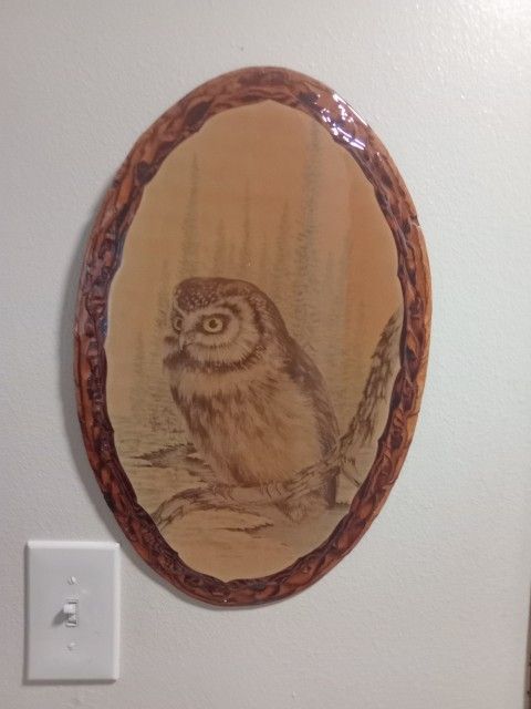 Large 18"X 14" Vintage Owl Picture