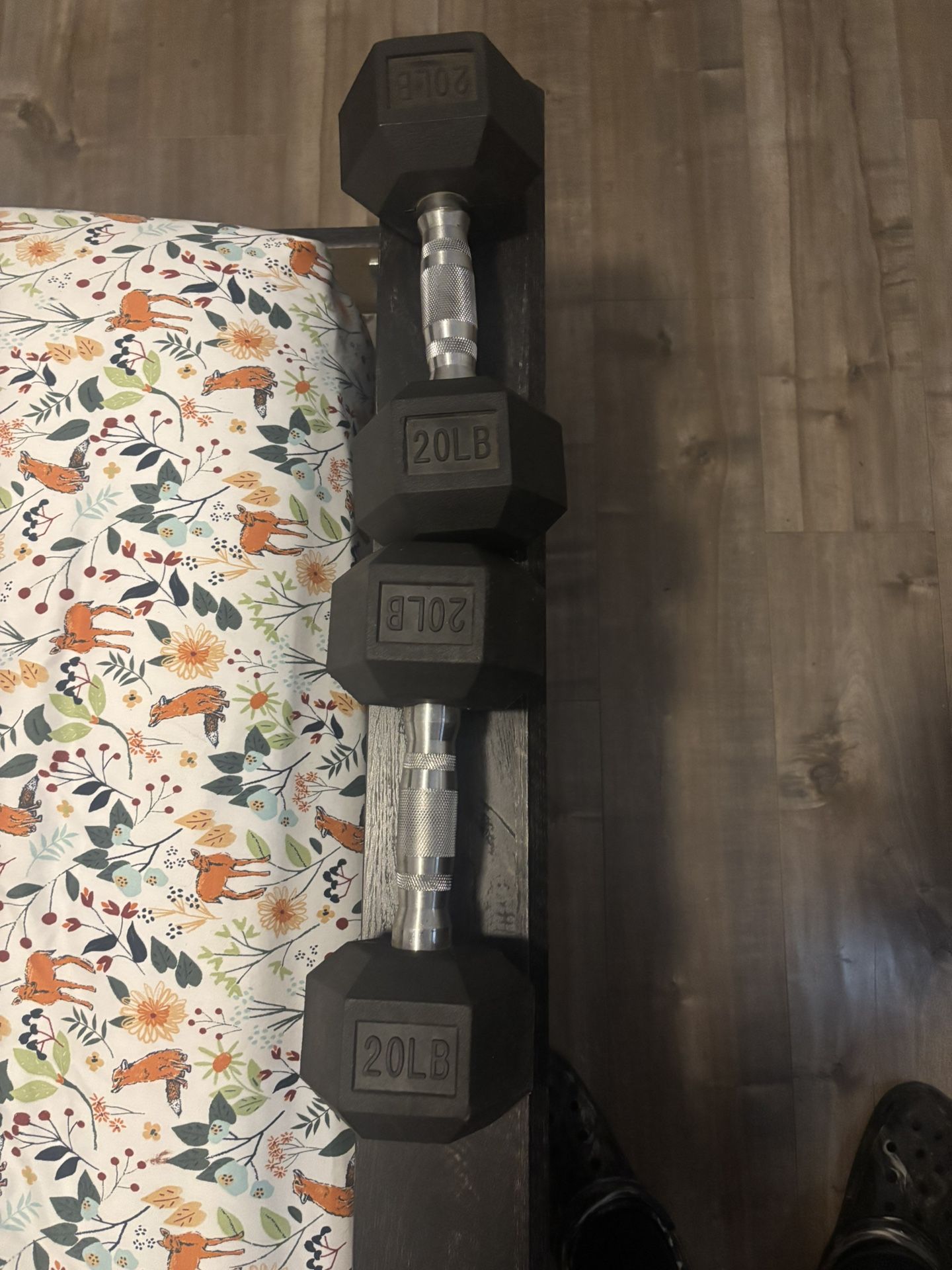20lbs dumbbells