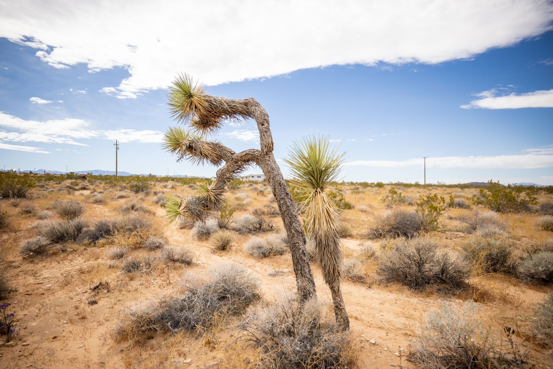 2 Acre Land For Sale