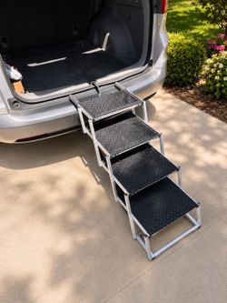 Petruna collapsible pet ramp