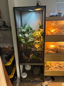 Large Mesh Screen Reptile Enclosure