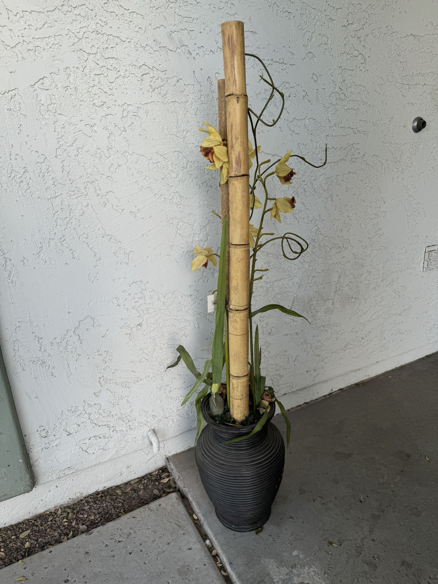 Bamboo With Vase from Africa