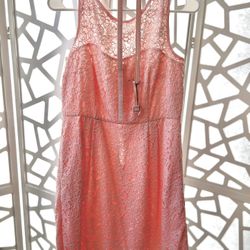 WHBM Light Pink Tulip Belted Lace Dress