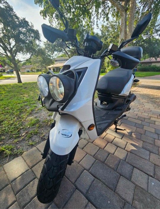 2020 Wolf Rugby Scooter