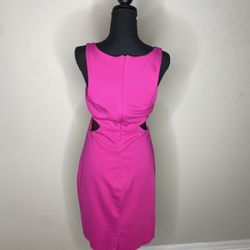 Express Hot Pink Dress Size 10