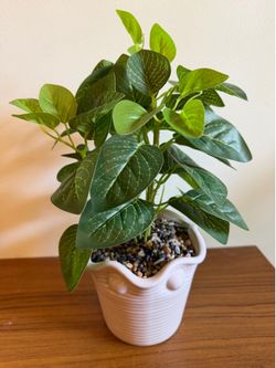 Garden Party Faux Plant in White Ceramic Planter Pot