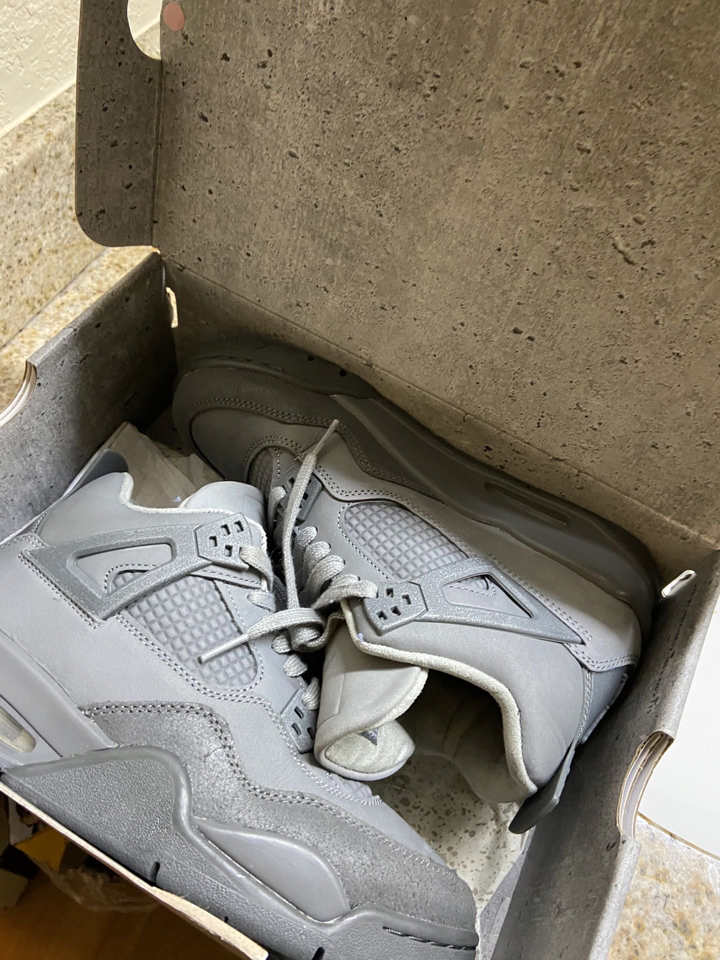 Air Jordan 4 Gs 