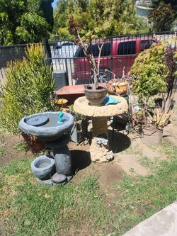 Plant sale open now! Everything is for sale!