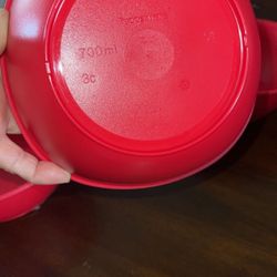 Tengo Tupperware mexicano Todo Diferente Precio 