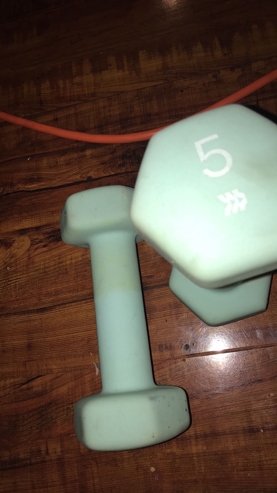5lb weights