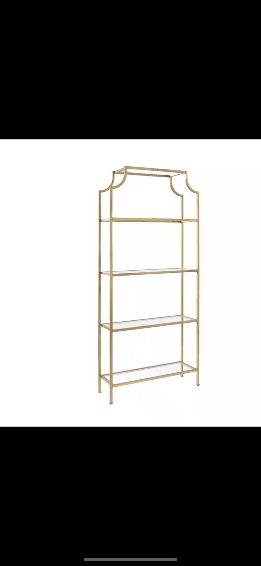 Gold Glass Bookcase / Shelves