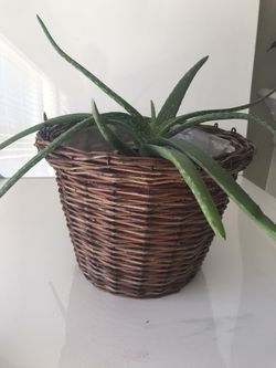 Vintage Boho Wicker Hanging Basket Planter