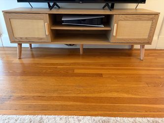 Modern TV Stand with Doors