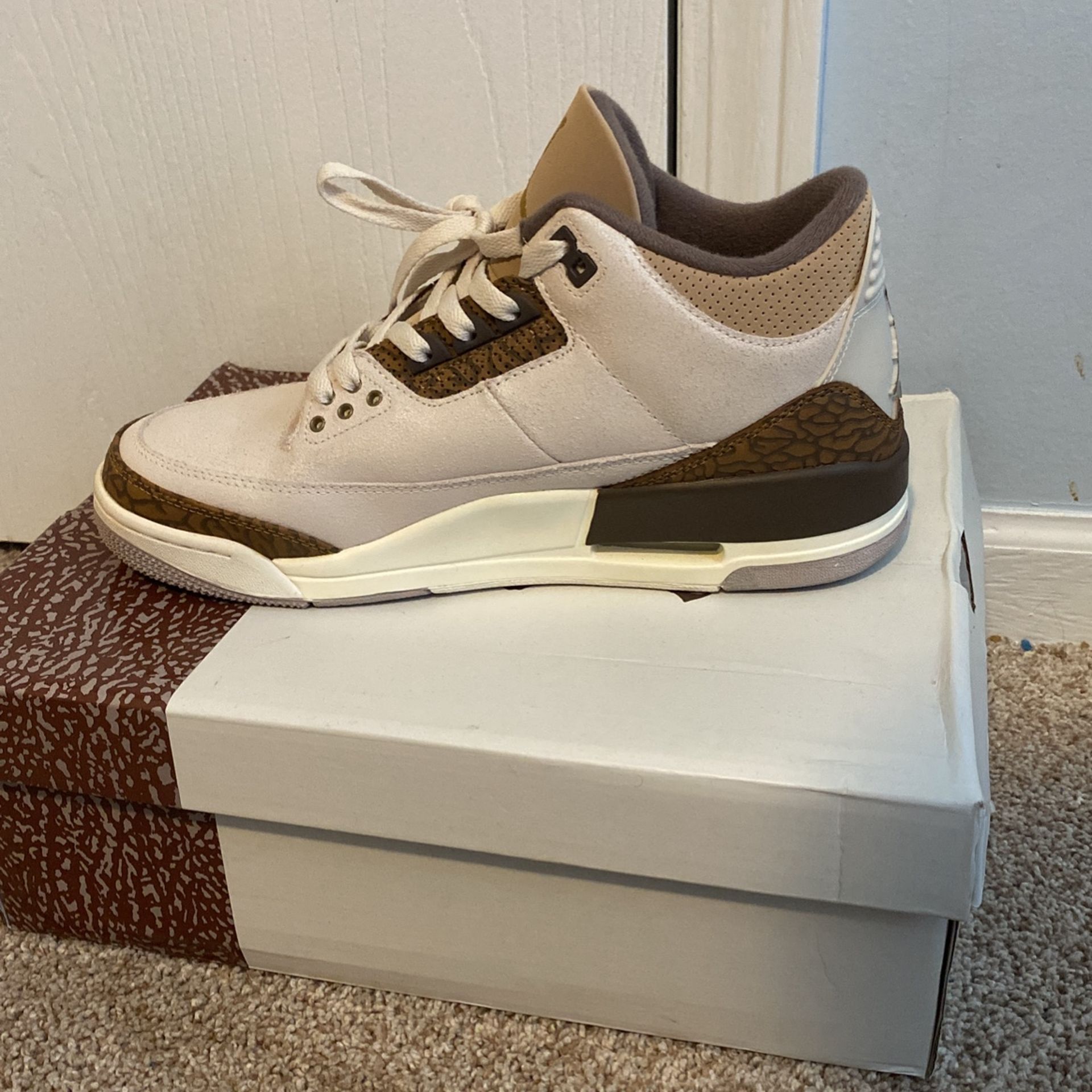 Palomino 3’s