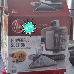 Hoover Portable Petstain Cleaner