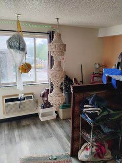 1970 Vintage 3 Tier Conch Shell Chandelier