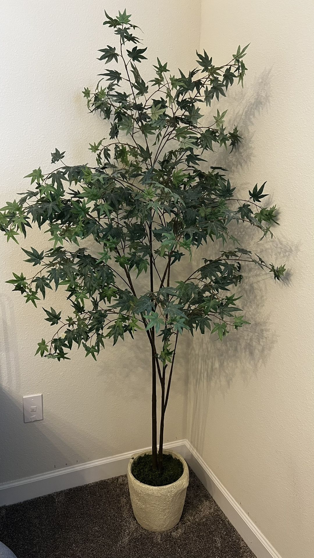 6ft Tall Fake Plant Studio McGee