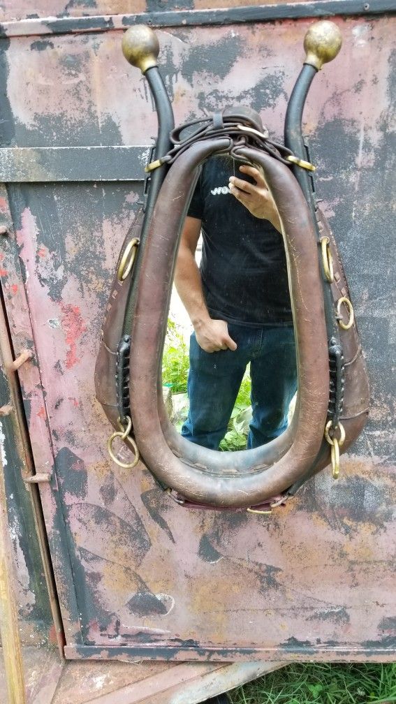 Horse Collar Mirror