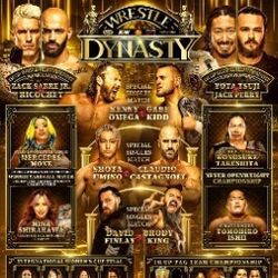 Aew Wrestle Dynasty 2025 With Countdown W/dvd Sleeve Dvd