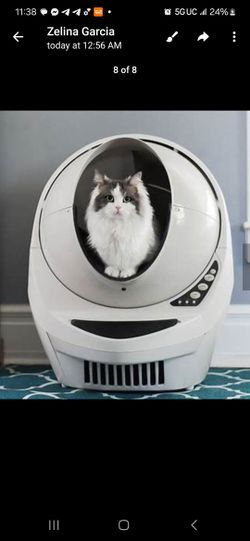 Cat Caca BOX 170 It Work⁷