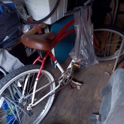 Beach Cruiser