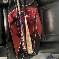 Baseball Bats And Bag