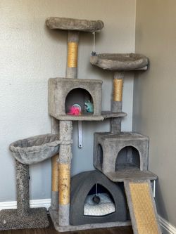 Cat Tree