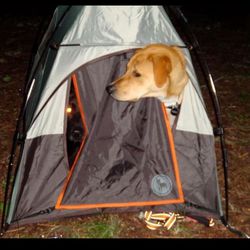 DOG TENT - Let your pups enjoy camping!