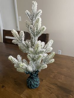 Smalls Christmas Trees