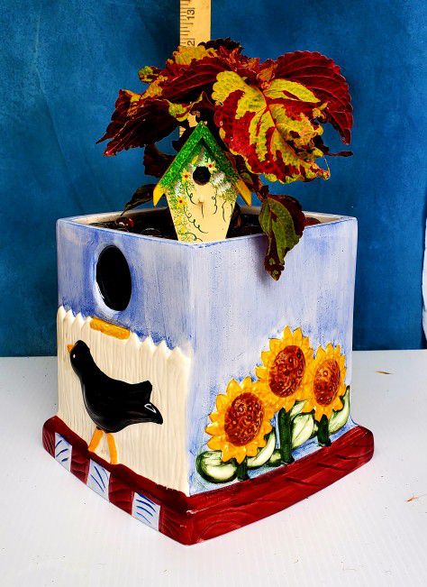 Coleus In Bird And Flowers  Ceramic Pot