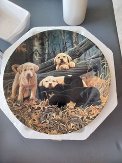 Dog Plate