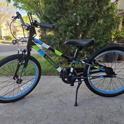 Guardian 20 Inch Bike