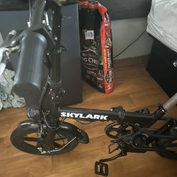 Skylark Electric Bike 