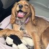 Ramen Reyes