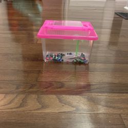 Easy Latch Fish Tank - Pink 