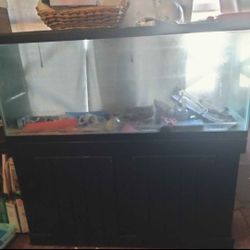 55 G Fish Tank With Stand 