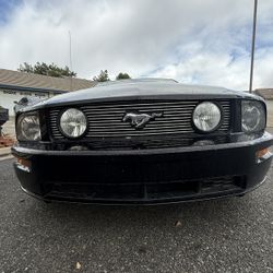 2005 Mustang G T
