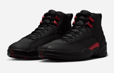 Jordan 12 bloodline