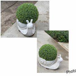 Patio  decor
