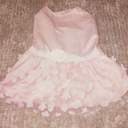 Dog Clothes Bundle