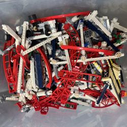 Lego Roller Coaster Set 10261 