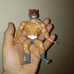 1981 He Man Zodiac Loose Figure. He Man And The Masters Of The Universe 