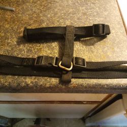 New Dog Harness For Medium  Dogs